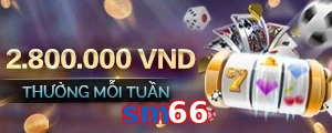 sm66